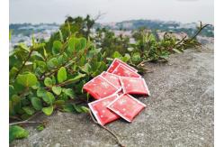 China Customizable Disposable White Sugar Packets 5g Each supplier