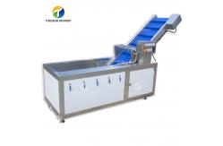 China Citrus Stalk Eliminated Lemon Processing Machinery Industrial Air Bubble Brush supplier