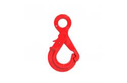 China SLR077-G80 SPECIAL EYE SELF-LOCKING HOOK supplier