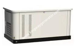China House Use 5.5KW Natural Gas Generator Three Phase Customized supplier