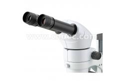 China Binocular LED Stereo Optical Microscope 80x With Fine Focusing Unit A23.1001 supplier
