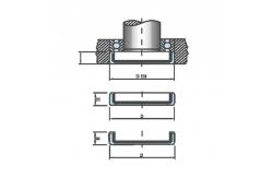 China Customized Auto Vehicle O Ring Sealing Wear Resistance Reducer Oil Seal supplier