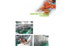 China Juice Extractor Machine Fruit Juice Processing Line 20T/D－2000T/D Capacity supplier