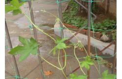 China 6.5 Feet Plastic Mesh Netting Hdpe Garden Leaf Guard Protector Trellis supplier