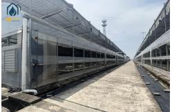 China Multi Span Organic Crops Growing Greenhouse With Water Saving Solutions supplier