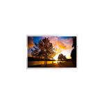 LS012B7DD06 1.2 inch 240*240 sunlight readable LCD Screen Display for sale