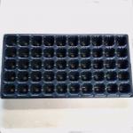 50 cells Plastic blister thermoforming vacuum PVC flower tree seedlings containers for sale