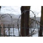 Garden Anti-Theft Anti Climb hot dip Galvanized Barbed Wire Roll for sale