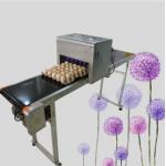 Multifunction Egg Inkjet Coding Machine For Food Package With Safty Edible Ink