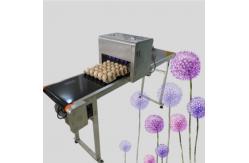 China Multifunction Egg Inkjet Coding Machine For Food Package With Safty Edible Ink supplier