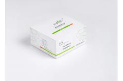 China 5-2000ng/ML One Step Ferritin Rapid Test For Obstetrics Gynecology supplier