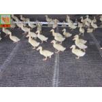 Heavy Duty Strong Fence Breeding Plastic Poultry Netting for sale