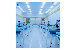 China Classic Student Lab Room Furniture For Modern School Laboratories supplier
