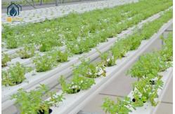 China Square PVC NFT Hydroponic Channel For Easy Cleaning And Faster Growth supplier