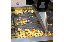 China Large-scale fruit and vegetable washing,drying and cutting production line supplier