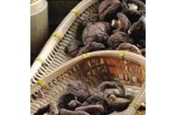 China Healthy Dry Shiitake Mushroom 1kg Smooth Surface 2 Years Shelf Life supplier