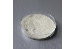 China 600GDU Bromelain Enzyme Foods Customized Protease Hydrolysis supplier