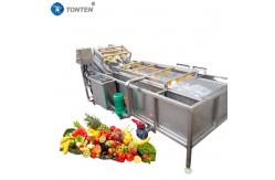 China Full Automatic Bubble Food Cleaning Machine For Fruit And Vegetable Washing supplier