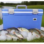 30L Ice Cooler Box for Camping, BBQ, and Picnic - 48h Cold Storage for sale