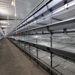 Farm Broiler Processing Equipment , 3.0-6.0mm Q235 Wire Mesh H Type Layer Cage for sale