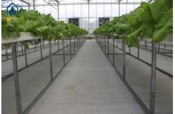 China Agricultural Vertical NFT Hydroponic Lettuce Growing Systems Equipment In Greenhouse supplier