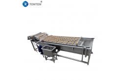 China Full Automatic Bubble Food Cleaning Machine For Fruit And Vegetable Washing supplier