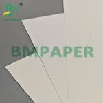 Multi Purpose 200um PET Film Paper For Export Packaging & Industrial Labels