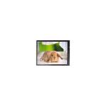 Original in Stock 26.0 inch LC260WXN-TLA1 LCD Display Screen for sale