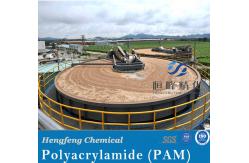 China Mining Industry Anionic Nonionic Flocculant Polyacrylamide For Mining Application supplier