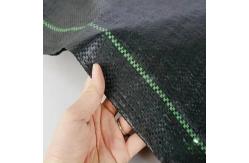 China Eco Friendly PE Material Weed Barrier Fabric For 5 Years supplier