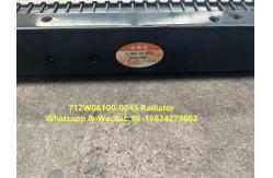 China Radiator 712W06100-0045 HOWO Truck Parts Engine Radiator Coolant Radiator supplier