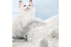 China Biodegradable Tofu Cat Litter Bulk Eco Friendly Clumping Effect Cassava supplier