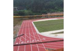 China SBR Particle Mixture Sandwich System Running Track UV-Resistance supplier
