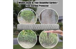 China Powder Coated 6x6 Hex Wire Mesh For Fish Cage supplier