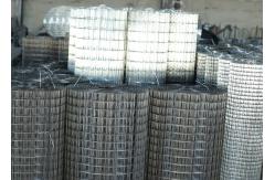 China 10x10 10 Gauge Welded Wire Mesh Hot Dipped Galvanized For Protection supplier