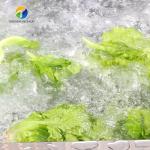 1000KG/H Fruit And Vegetable Processing Line Bubble Washing And Vibrating Drying
