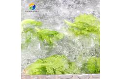China 1000KG/H Fruit And Vegetable Processing Line Bubble Washing And Vibrating Drying supplier