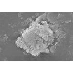 BORON NITRIDE POWDER APPLIED TO HIGH-GRADE REFRACTORY AND SUPERHARD MATERIAL