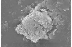 China BORON NITRIDE POWDER APPLIED TO HIGH-GRADE REFRACTORY AND SUPERHARD MATERIAL supplier