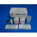 40T/Kit Sperm Function Test Kit For Determinate Protein Tyrosine Phosphorylation for sale