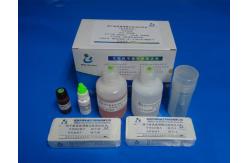 China 40T/Kit Sperm Function Test Kit For Determinate Protein Tyrosine Phosphorylation supplier