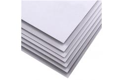 China Greyback/ White Duplex Board/230g-450g Duplex Board supplier