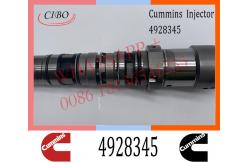 China Common Rail Diesel Fuel QSK45 QSK60 Injector 4928345 4001830 4010029 supplier