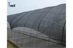 China Customized Black Greenhouse Mesh Anti Aging Mesh Shade Cloth 100GSM supplier