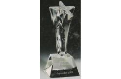 China crystal trophy supplier