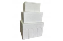 China EPS Incubator Cold Chain Transport Foam Box Customization supplier