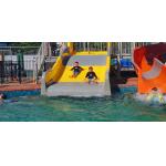 Home Above Swimming Pool Fiberglass Water Slide For Kids Water Game Play for sale