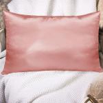 Pure Mulberry Silk Beauty Pillowcase For Hair , 25mm Throw Pillow Covers for sale