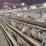 2000 Birds A Frame Layer Cages Layer Poultry Equipment SGS Approved for sale