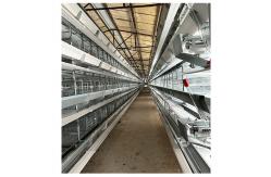 China Hot Galvanized Poultry Farming Equipment Automated Layer Chicken Broiler Chicken Farming Cage supplier